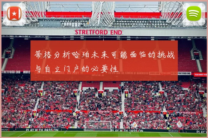 蒂格分析哈珀未来可能面临的挑战与自立门户的必要性